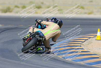 media/Apr-14-2024-SoCal Trackdays (Sun) [[70f97d3d4f]]/2-Turn 11 Backside (935am)/